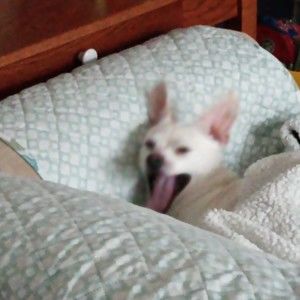 Meet your Posher, Tracy